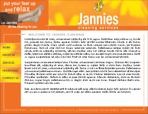 Jannies Cleaning Services