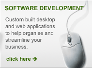 Software Development