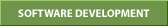 Software Development